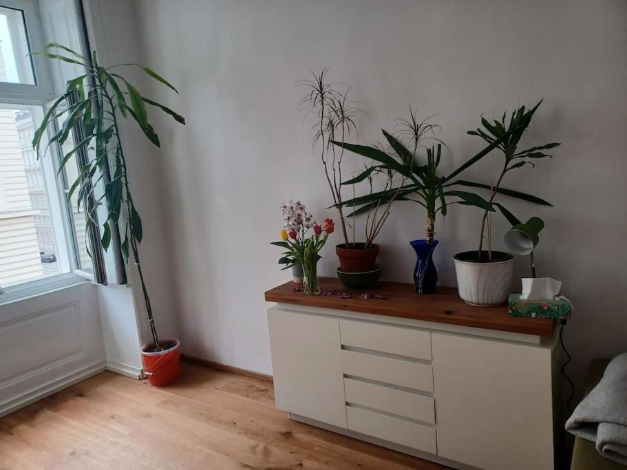 Sehr Zentral Gelegen Apartment Viena Exterior foto
